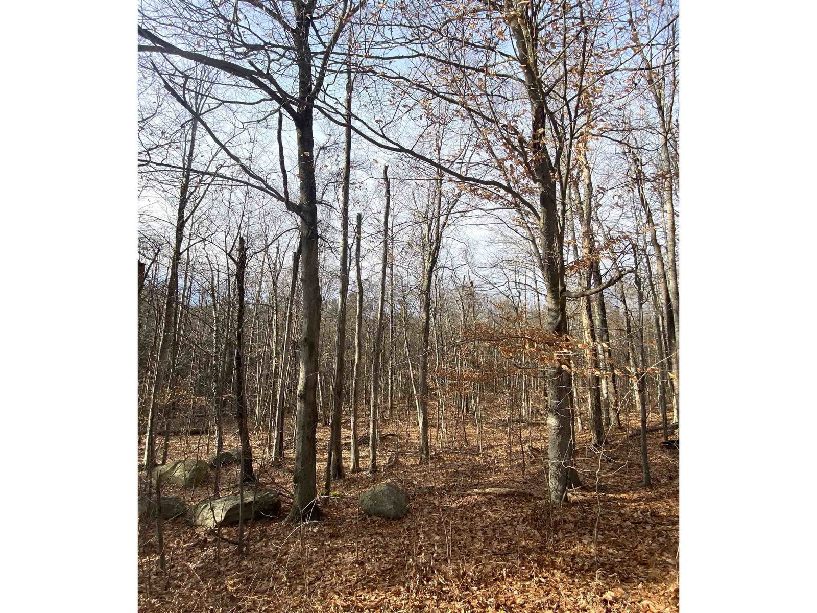 6 Fred Johnson Circle, Middlebury