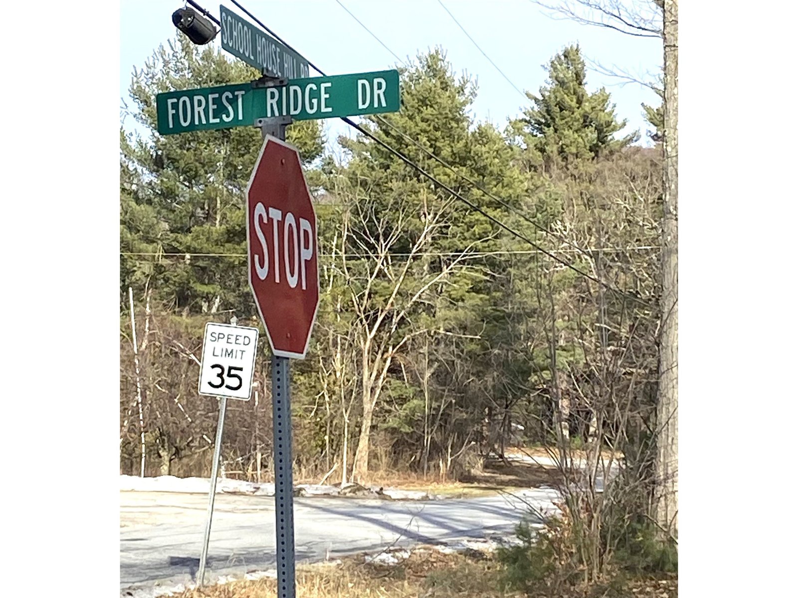 Entrance to Forest Ridge