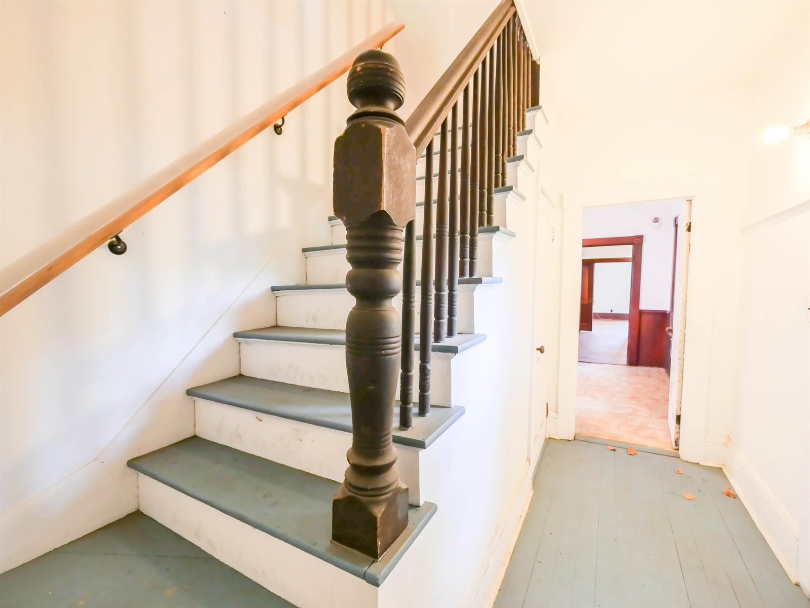 6 Tuttle Street