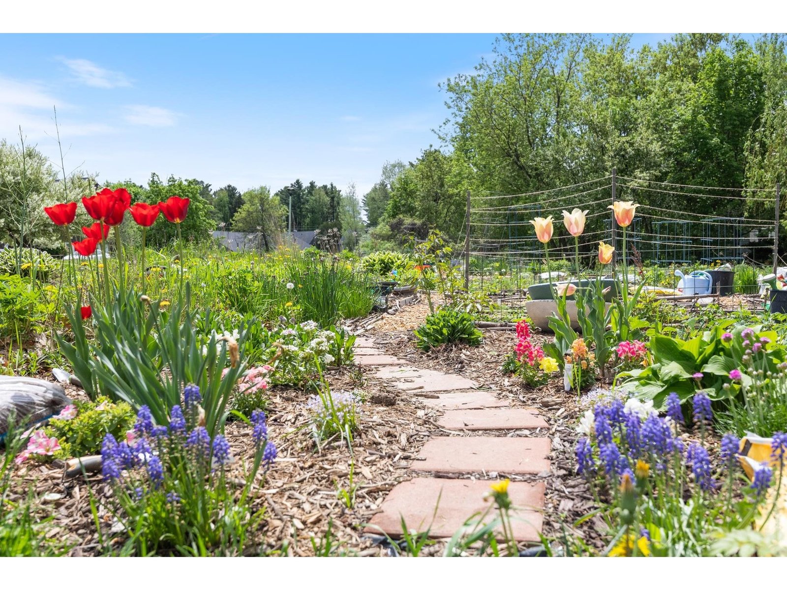 6 Twin Oaks Terrace