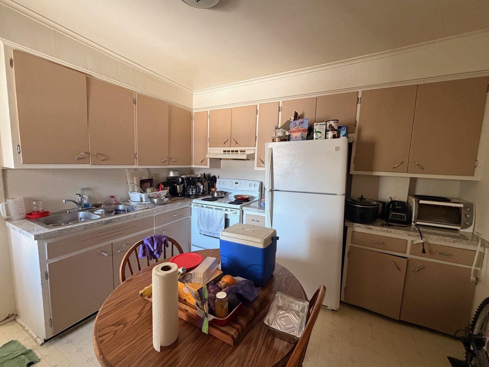6 Willey Street