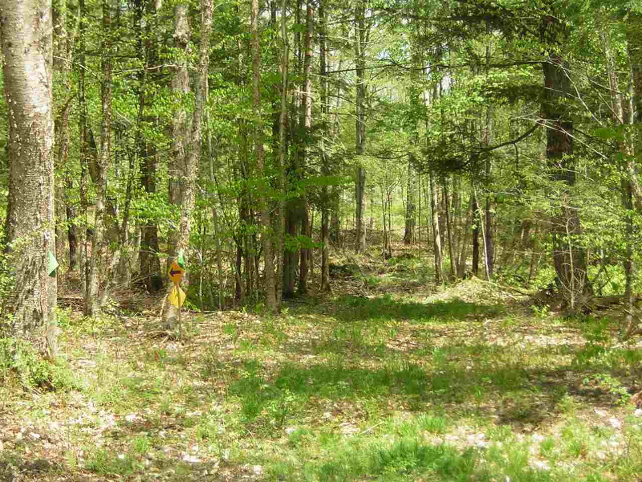 600 Maple Hill Road