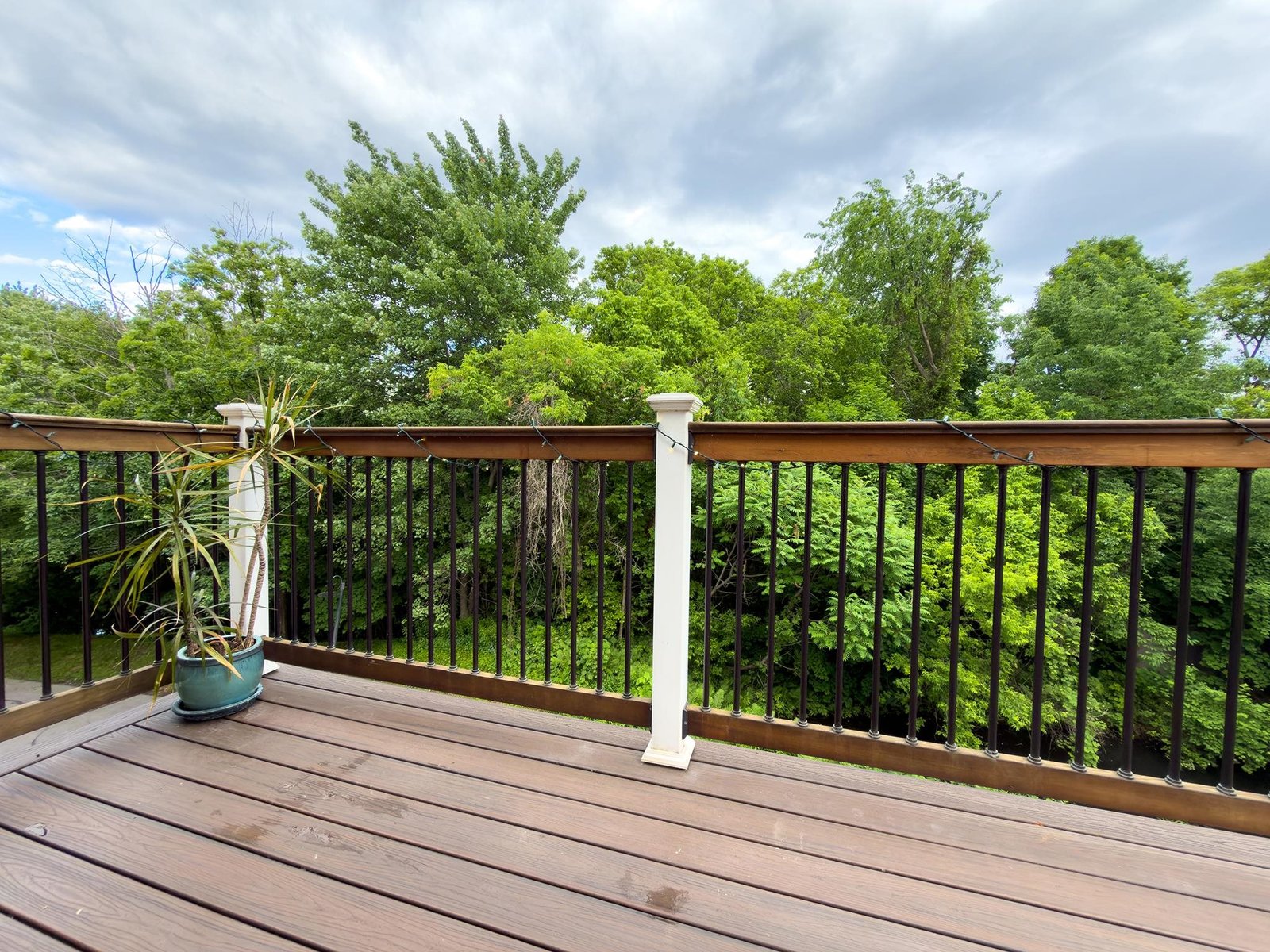 602 North Avenue, Unit 6