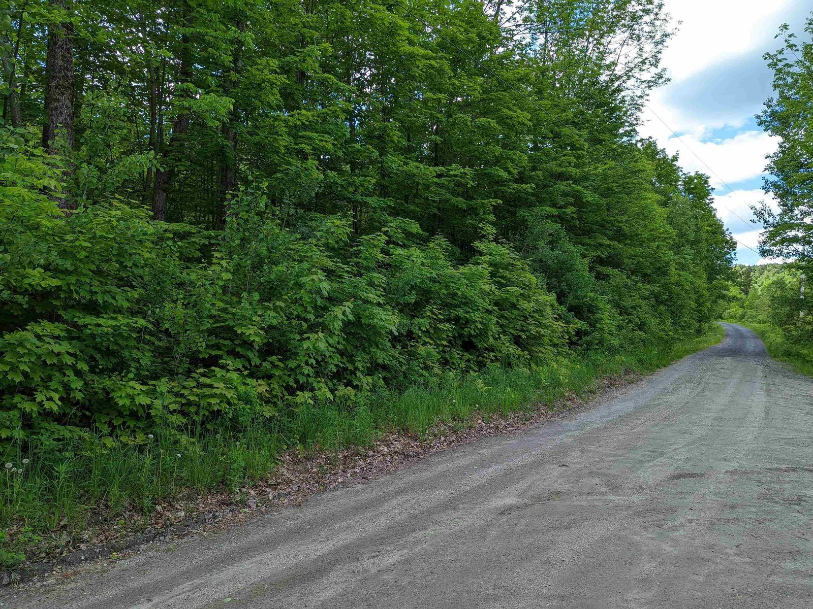 605 Bear Farm Road