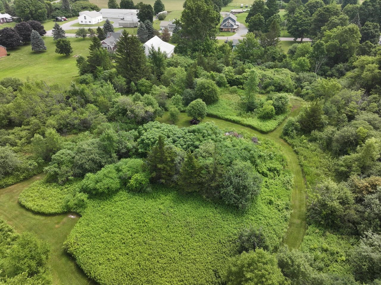 Walking Trails Throughout Land