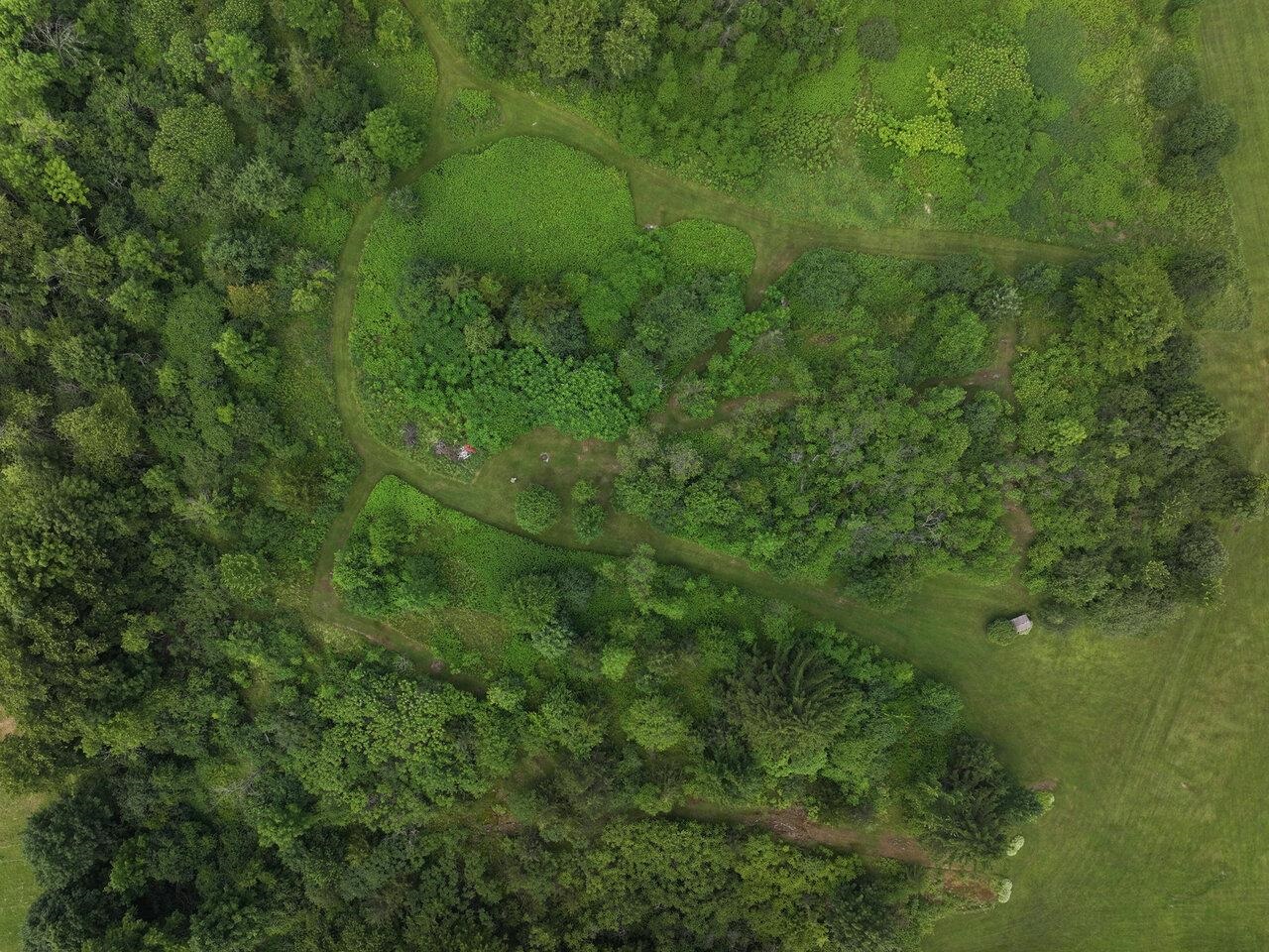 Mowed Trails