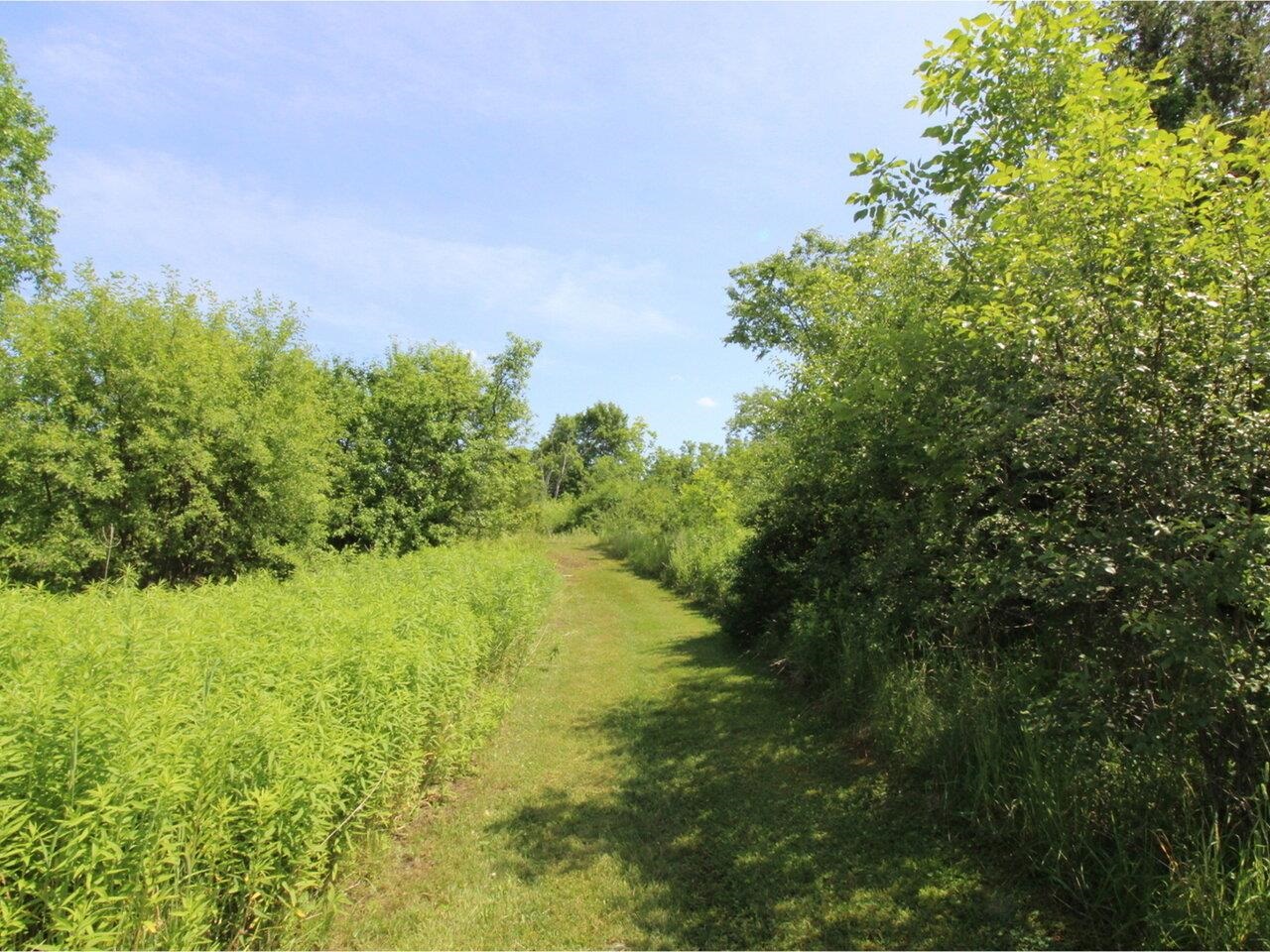 Trails Throughout Property
