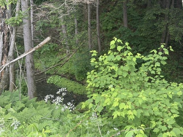 6160 VT route 66 Road