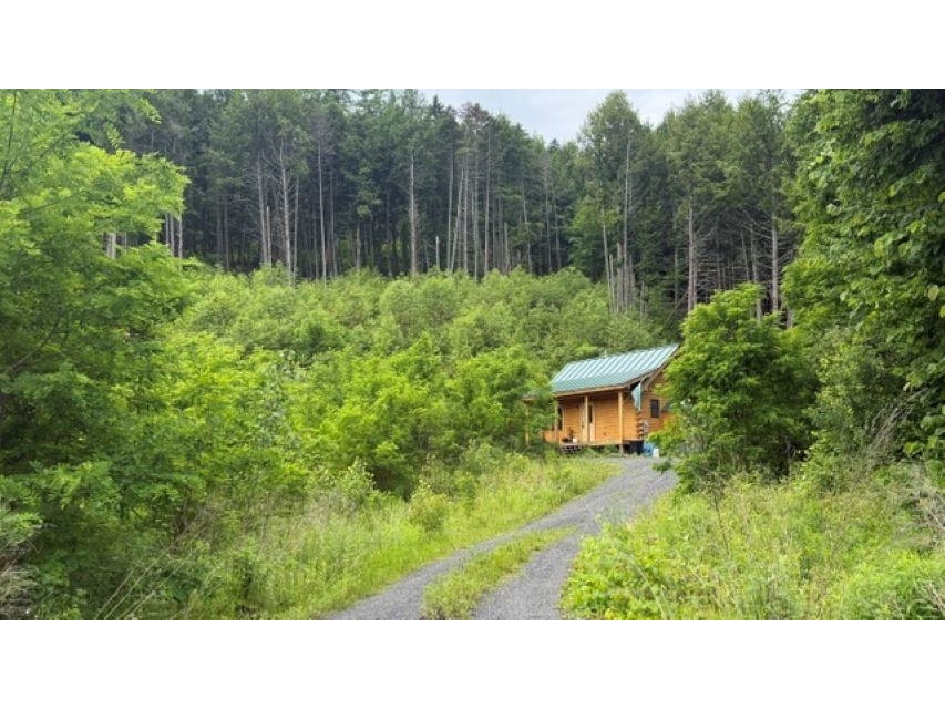 6160 VT route 66 Road