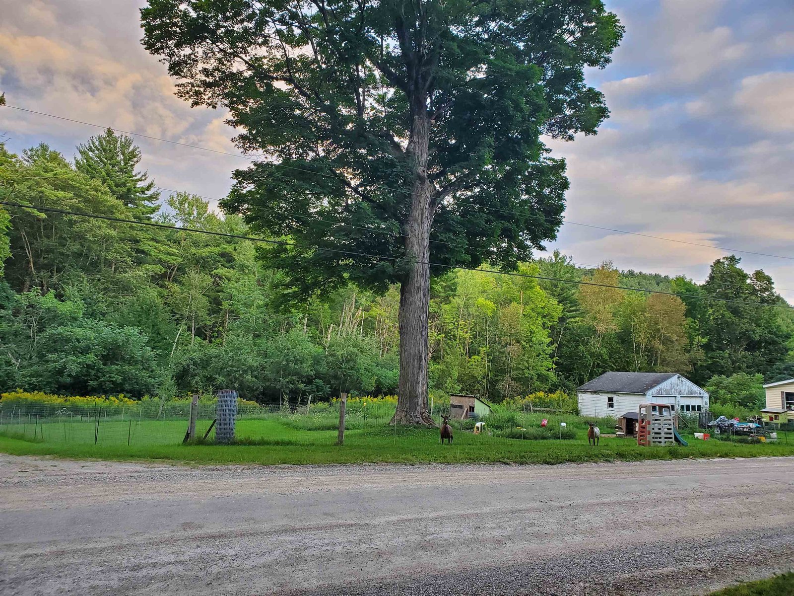617 Smead Road