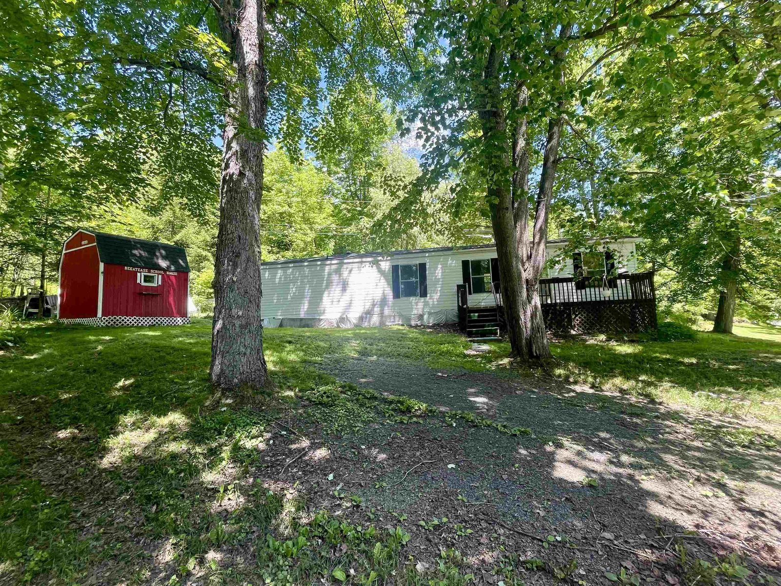 62 Maple Tree Lane