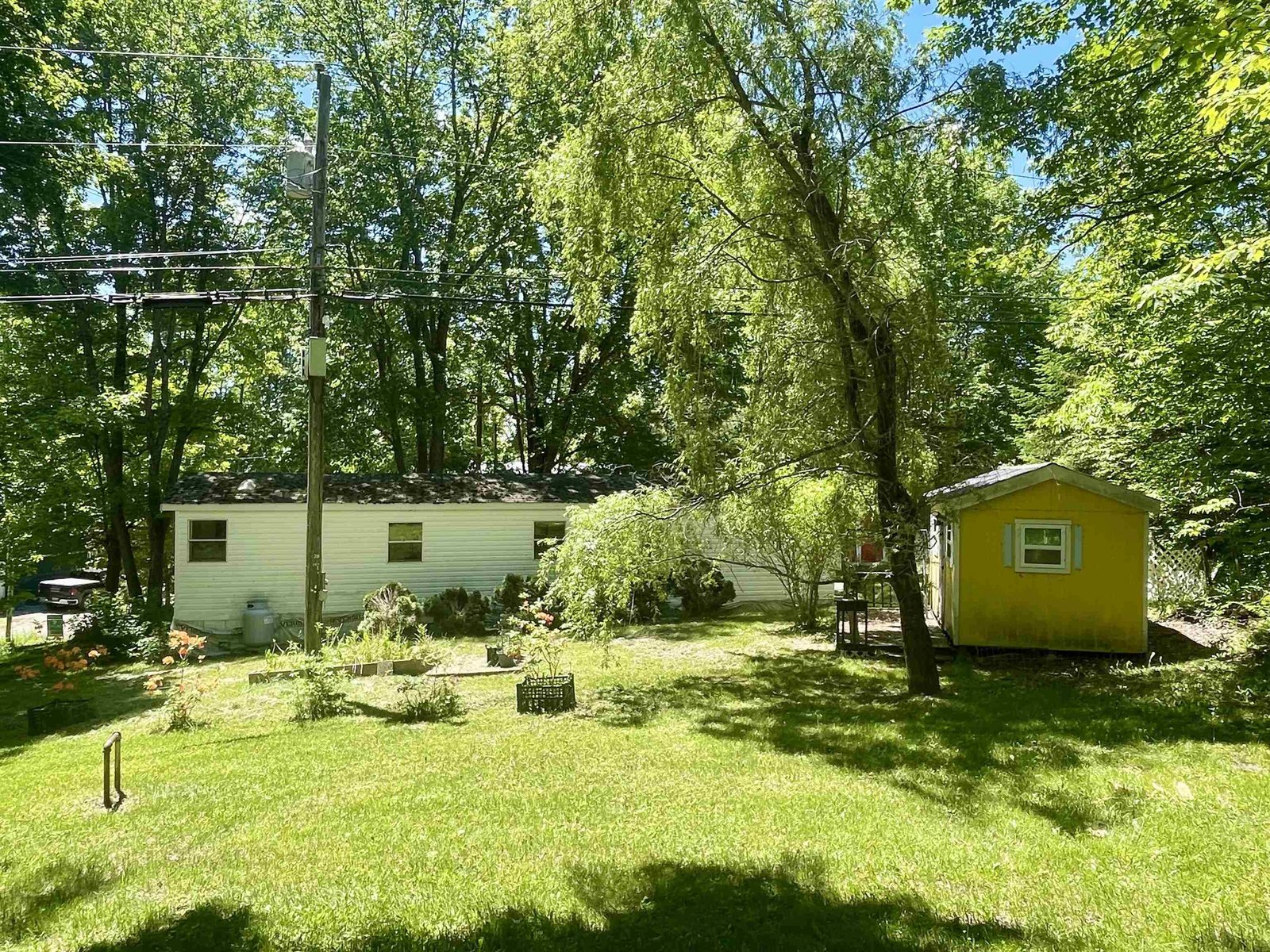 62 Maple Tree Lane