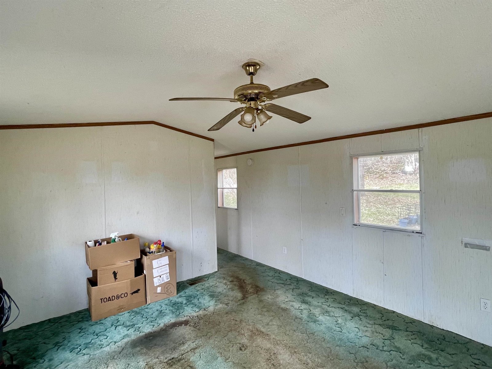 62 Maple Tree Lane