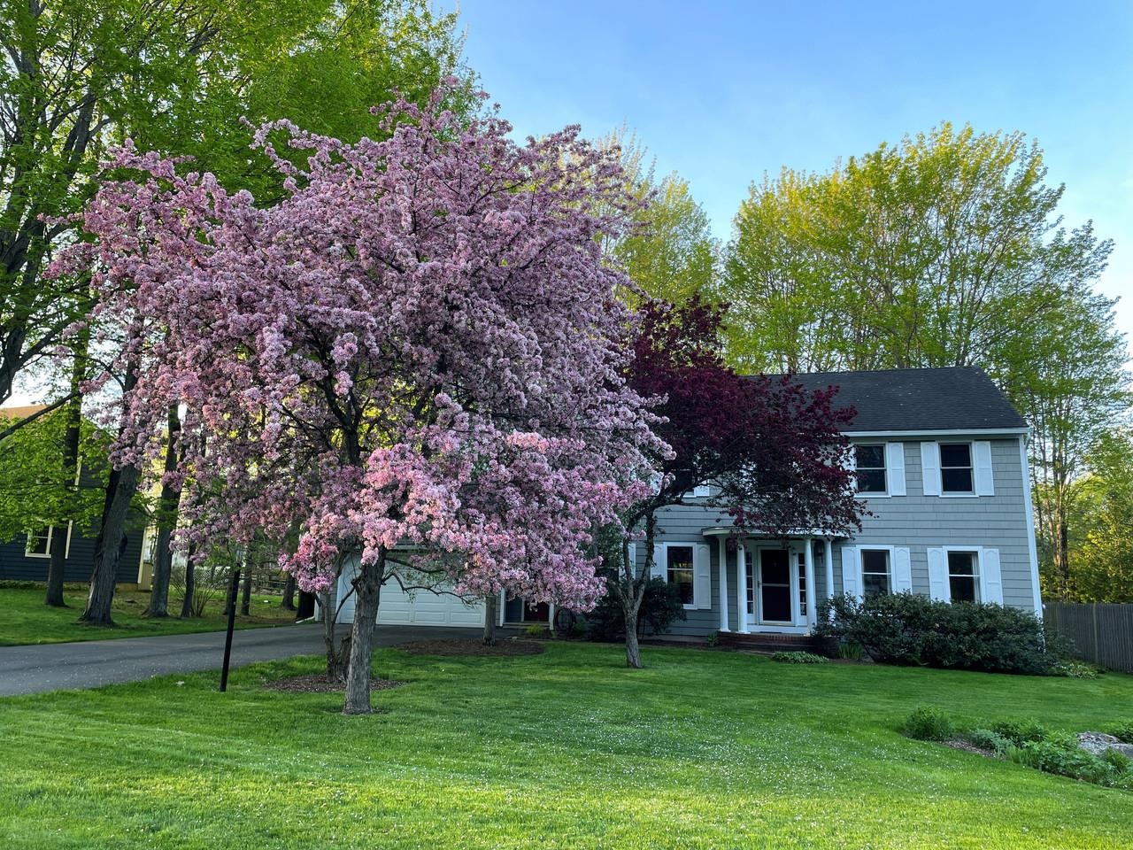 62 Summit Circle