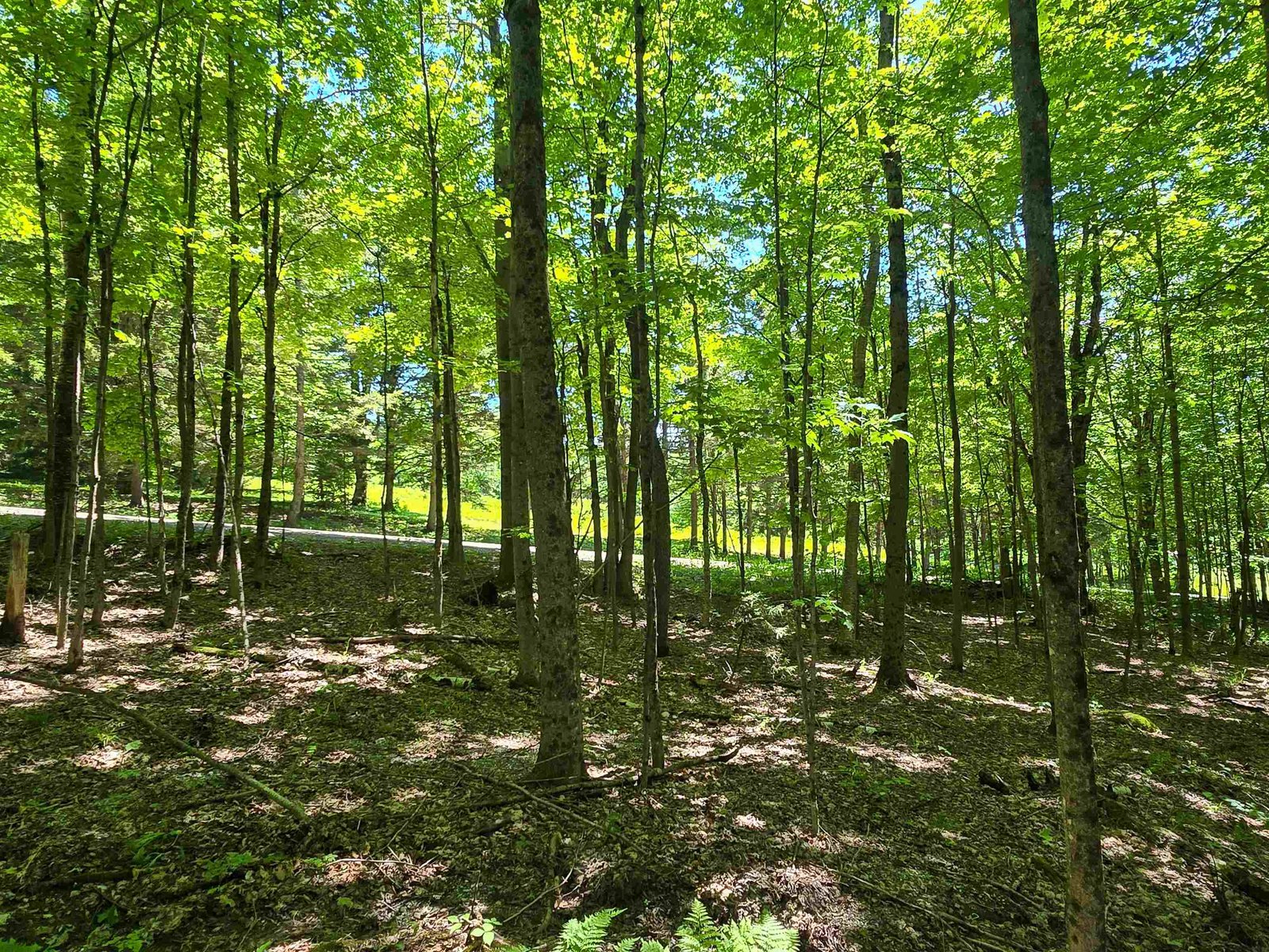 625 French Settlement Road