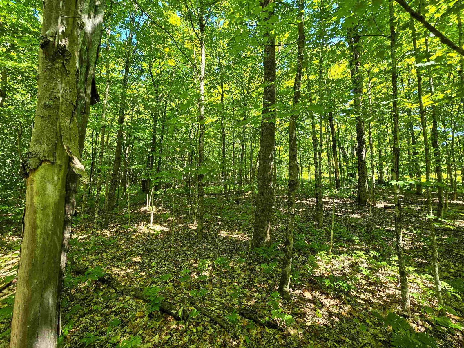 625 French Settlement Road