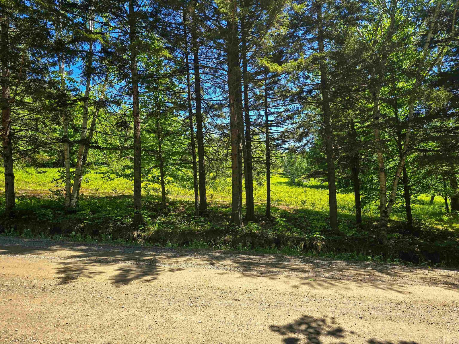 625 French Settlement Road