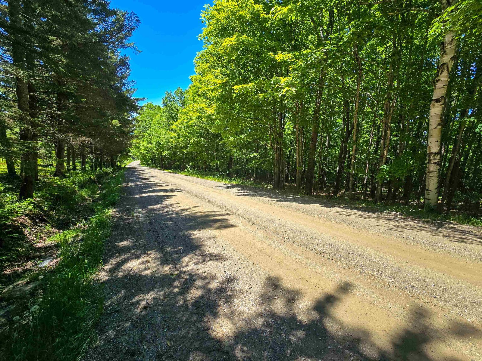 625 French Settlement Road
