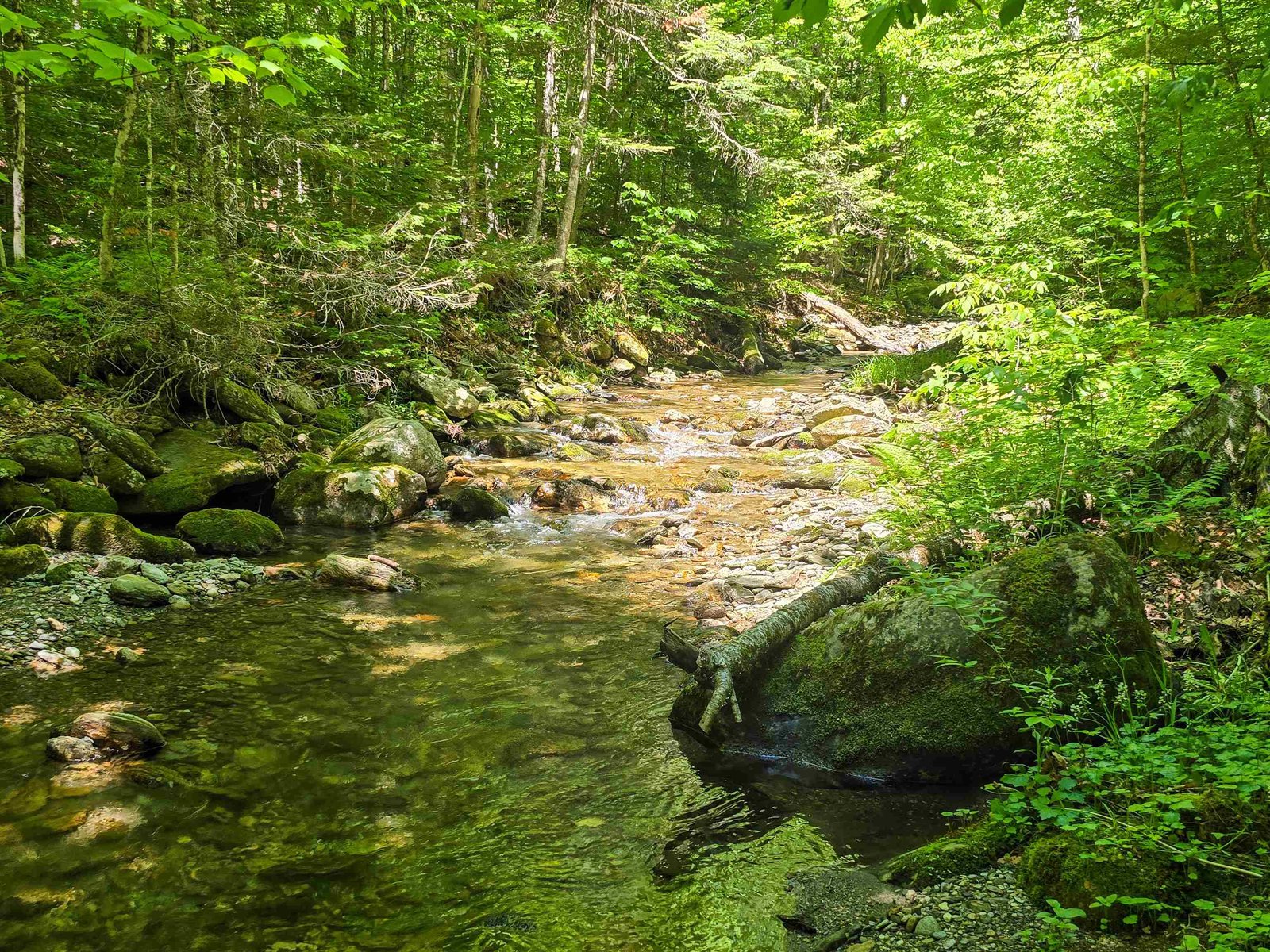 Cow Brook