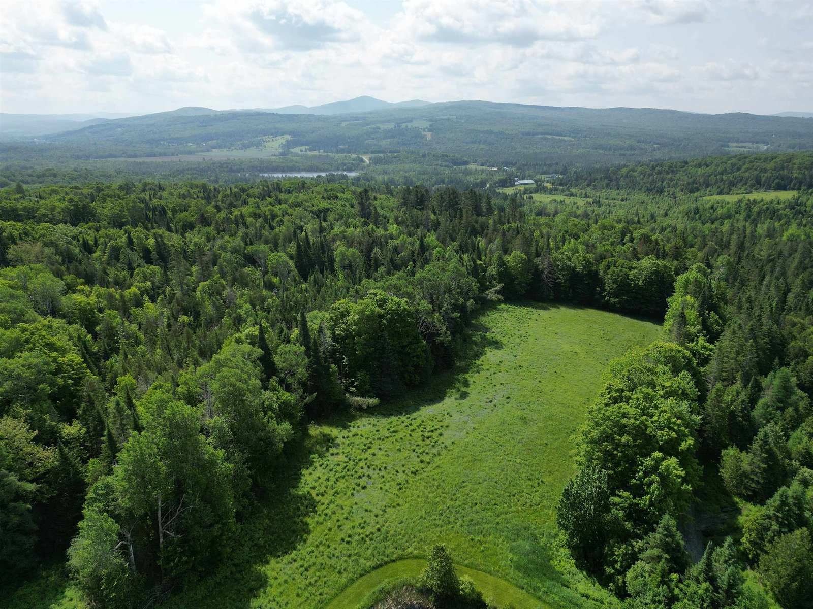 Field behind pond