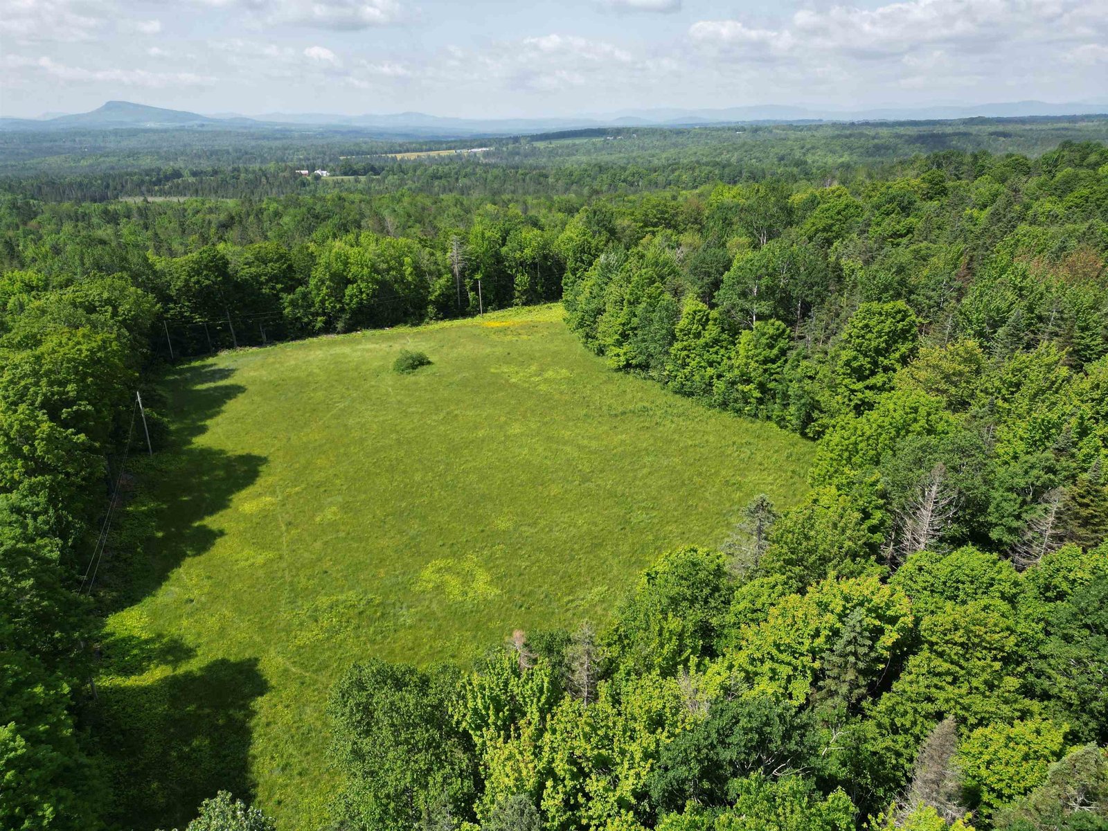 Field in back of house