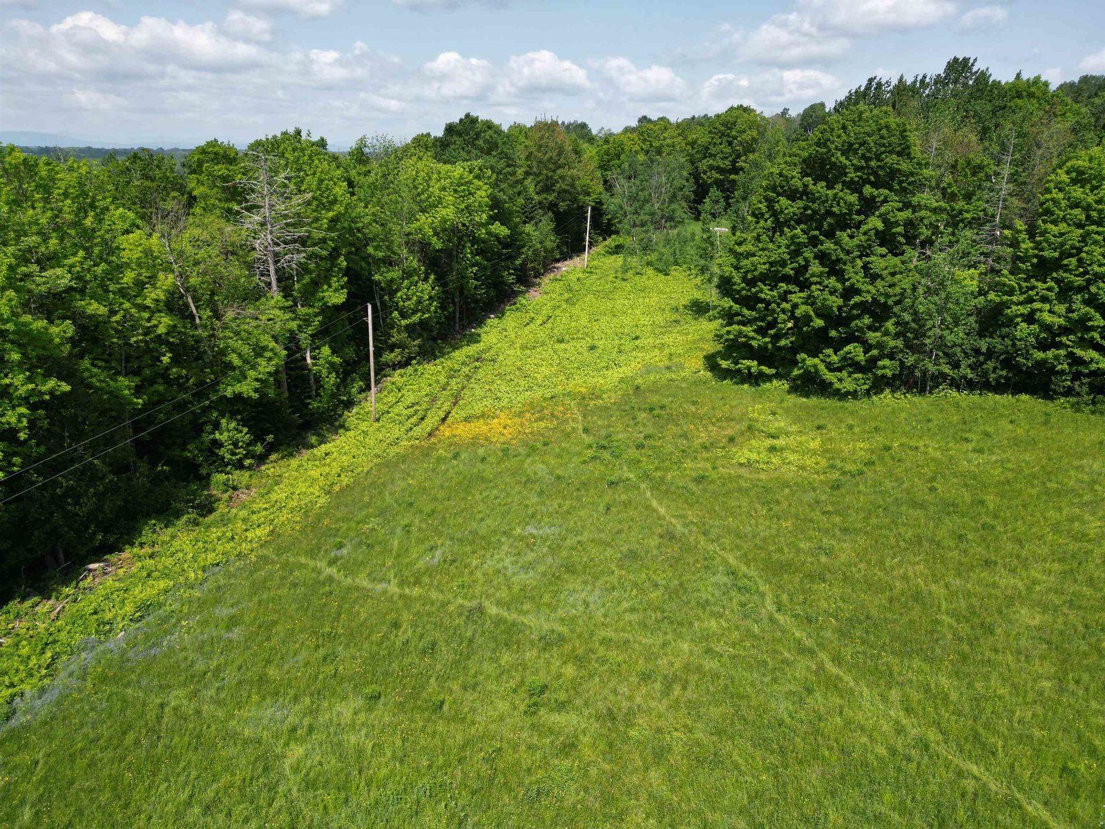 Field in back of house