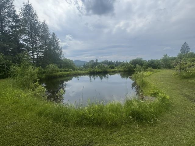 Swimming pond