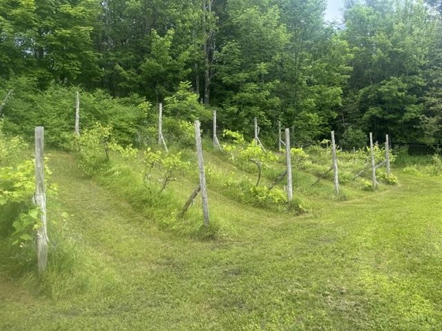 629 South Craftsbury Road