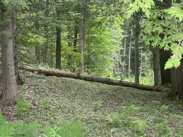 629 South Craftsbury Road