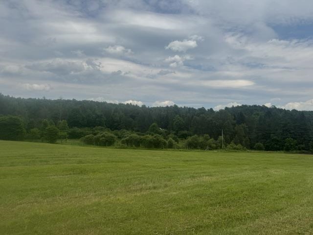 629 South Craftsbury Road