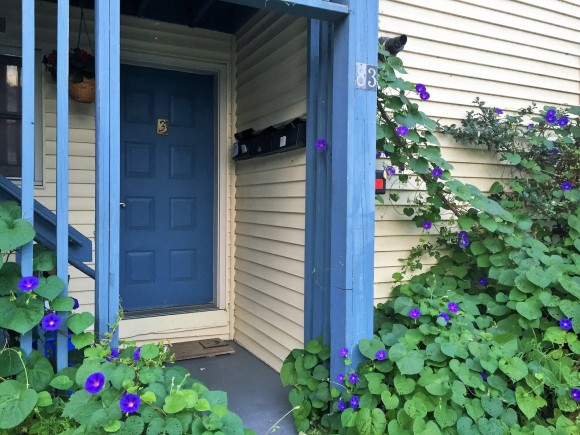 63 North Avenue, Unit 3