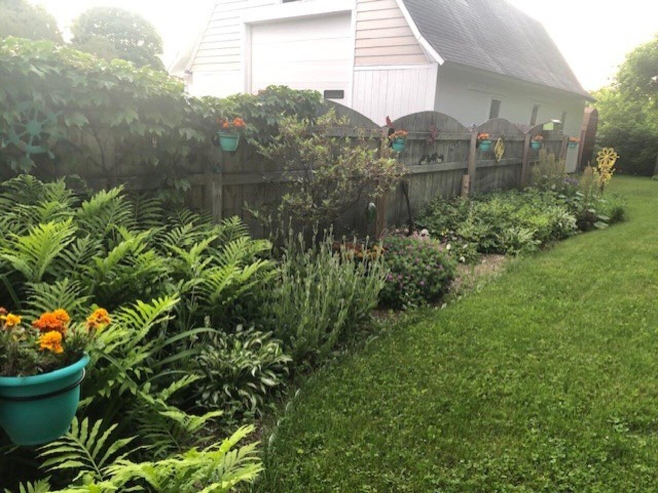 Established garden space