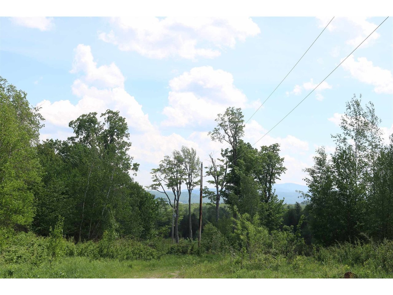 64 Border Drive