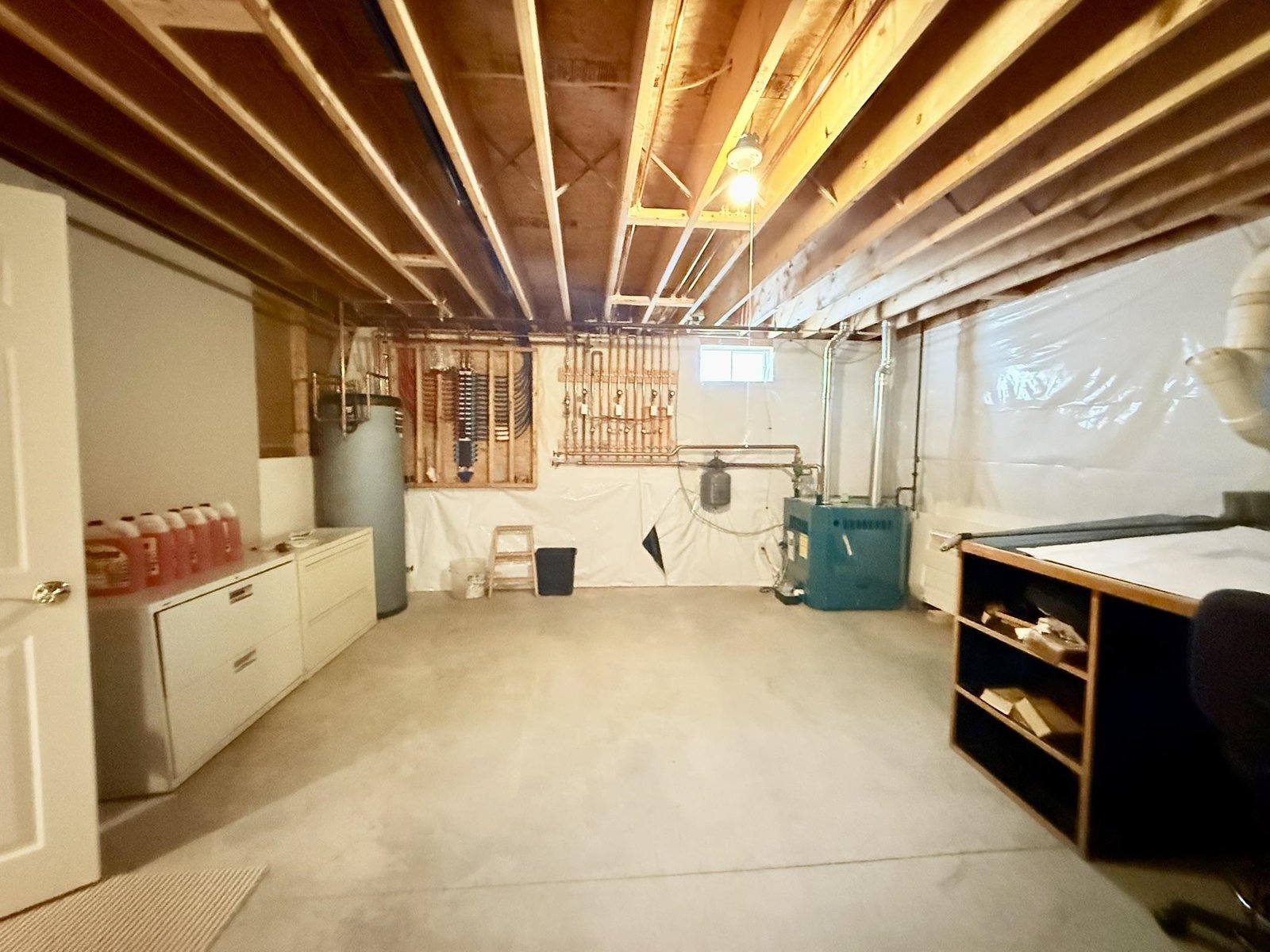 Basement with Storage