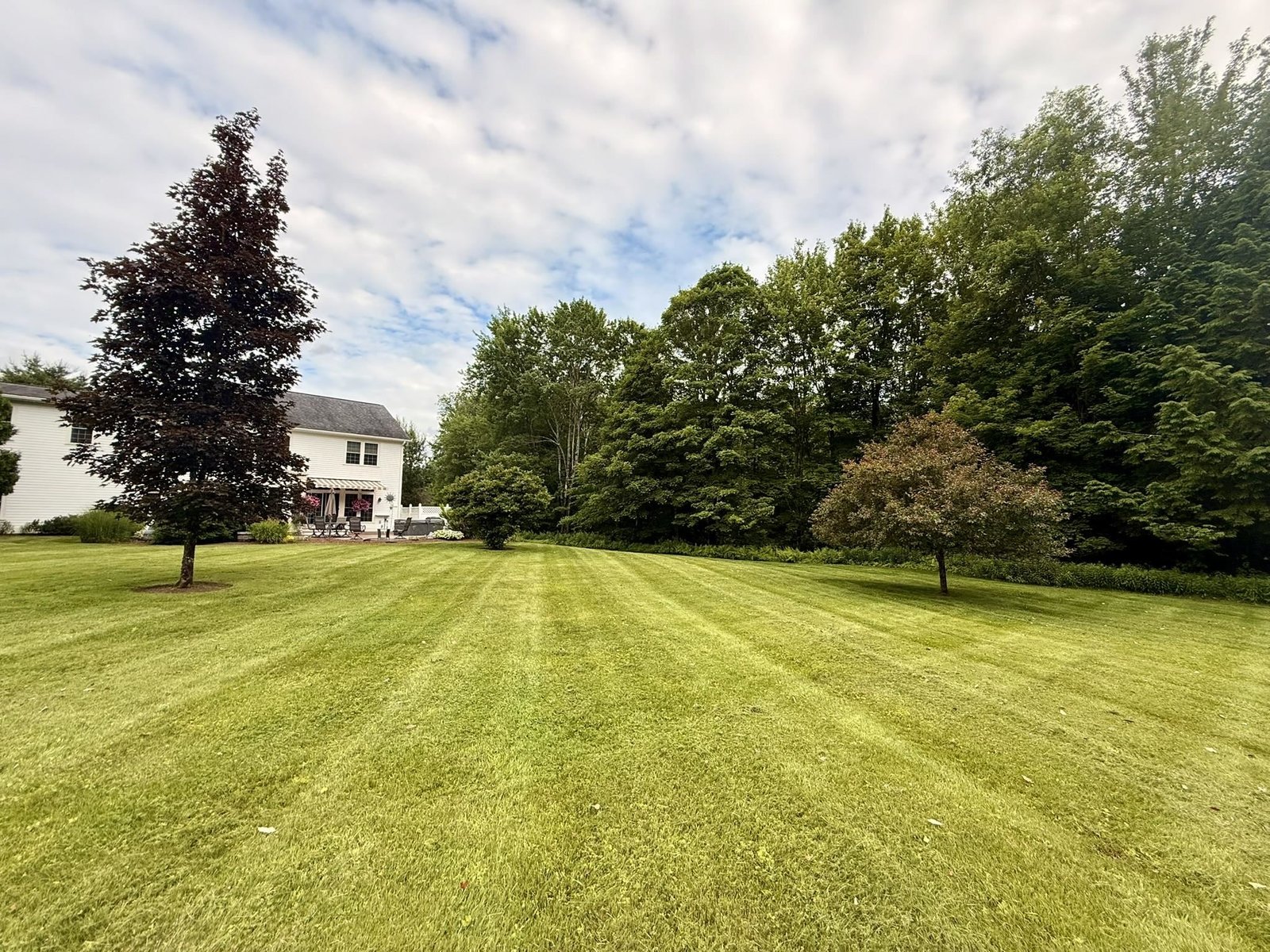 Sweeping Flat Backyard