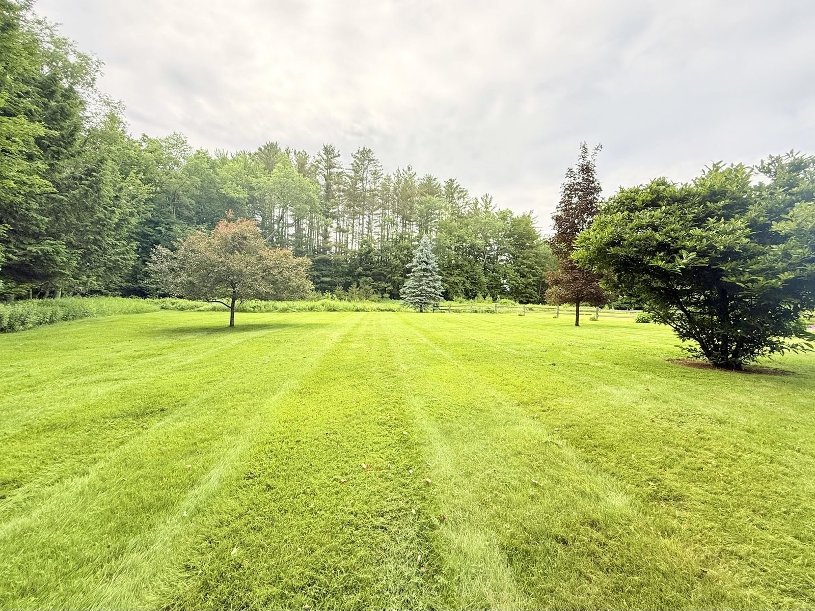 Private Back Yard