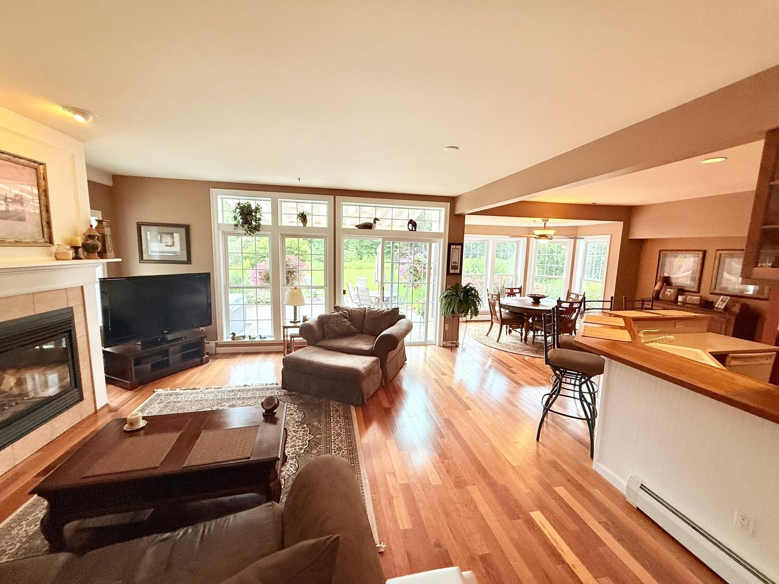 Sun-filled Living Room