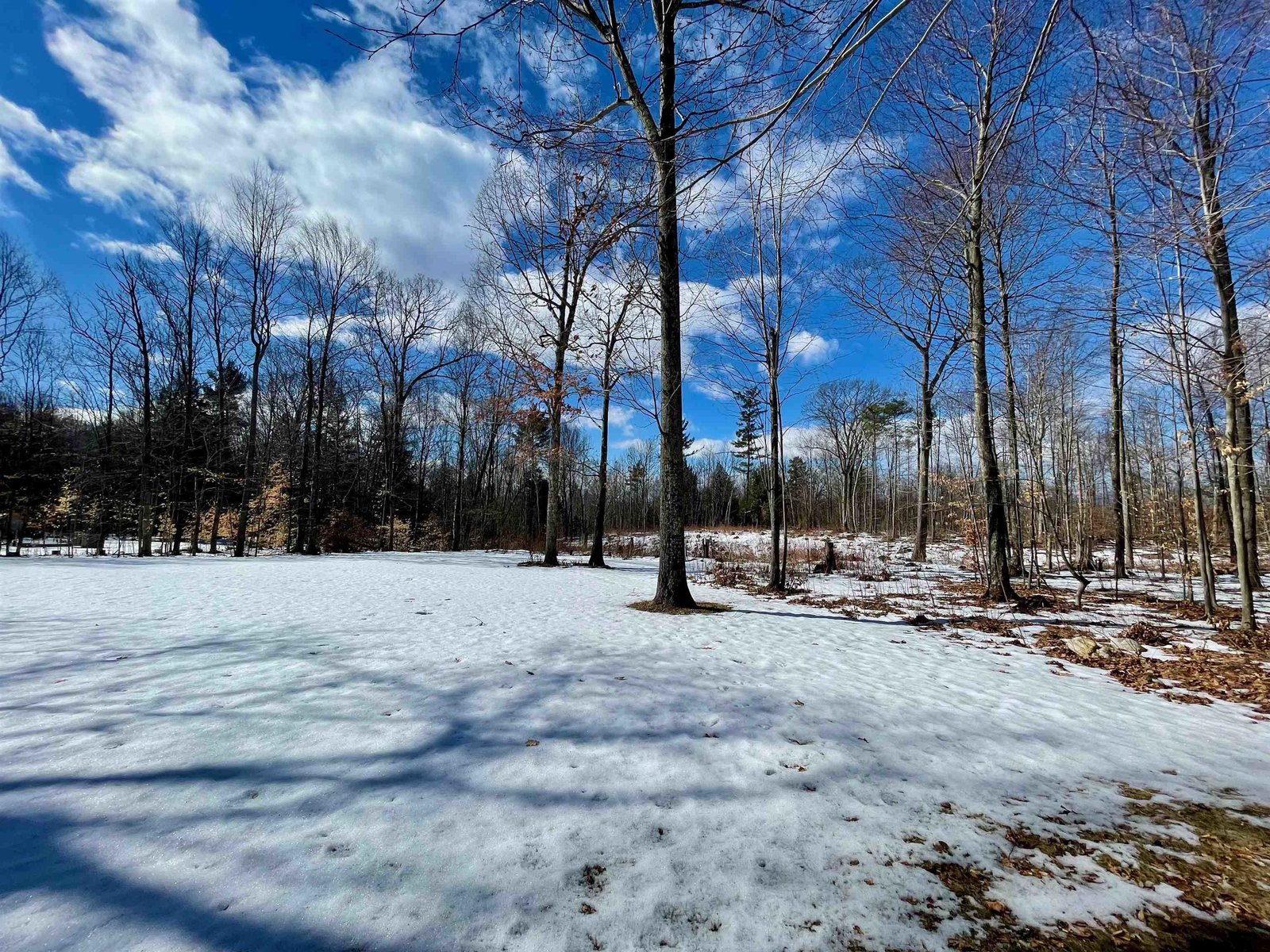 647 Upper Plains Road