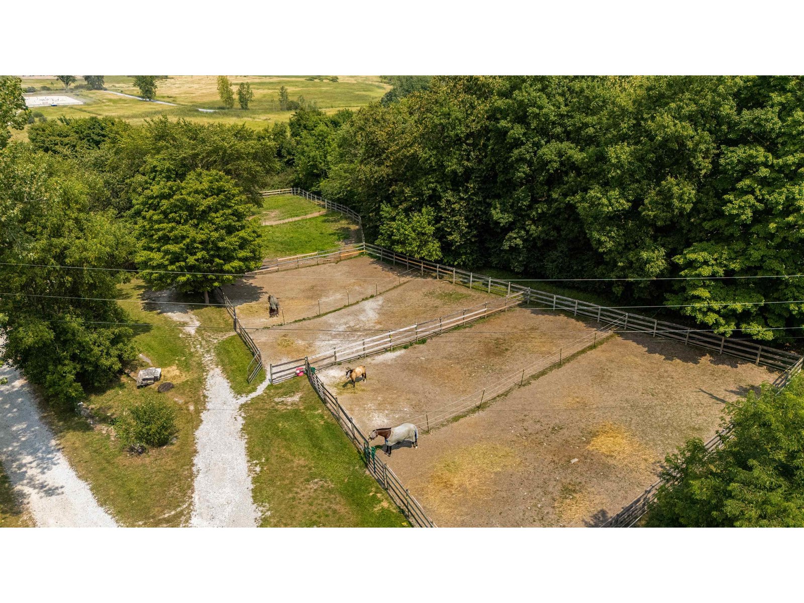 smaller all weather paddocks near the barns