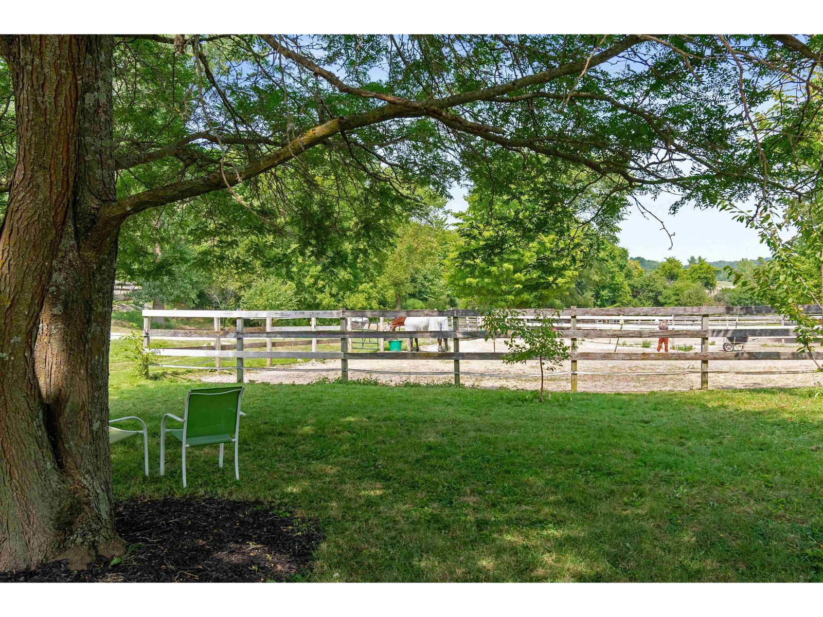 relax on summer days under the tree by the paddocks