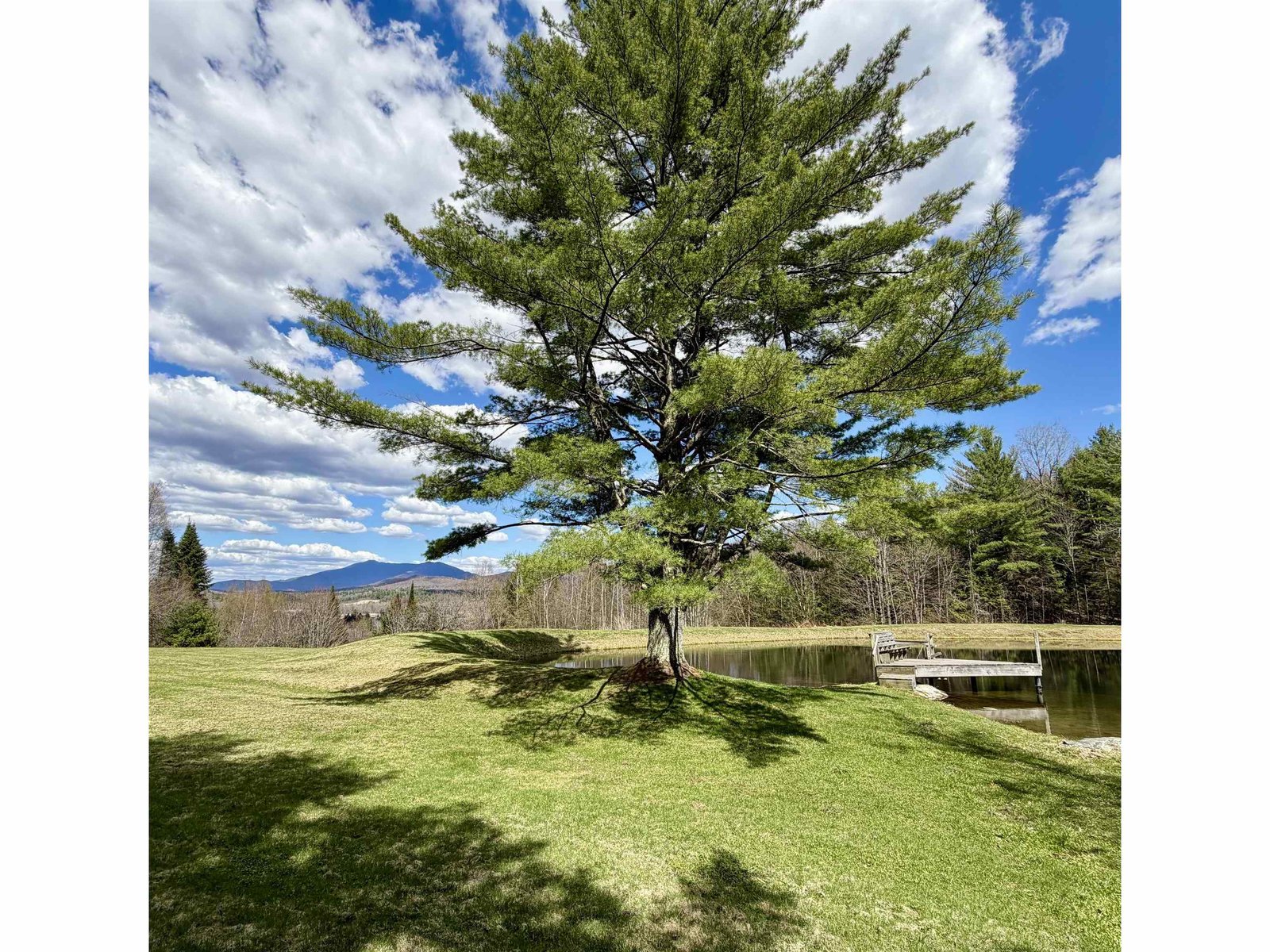 Living your best Vermont Life!