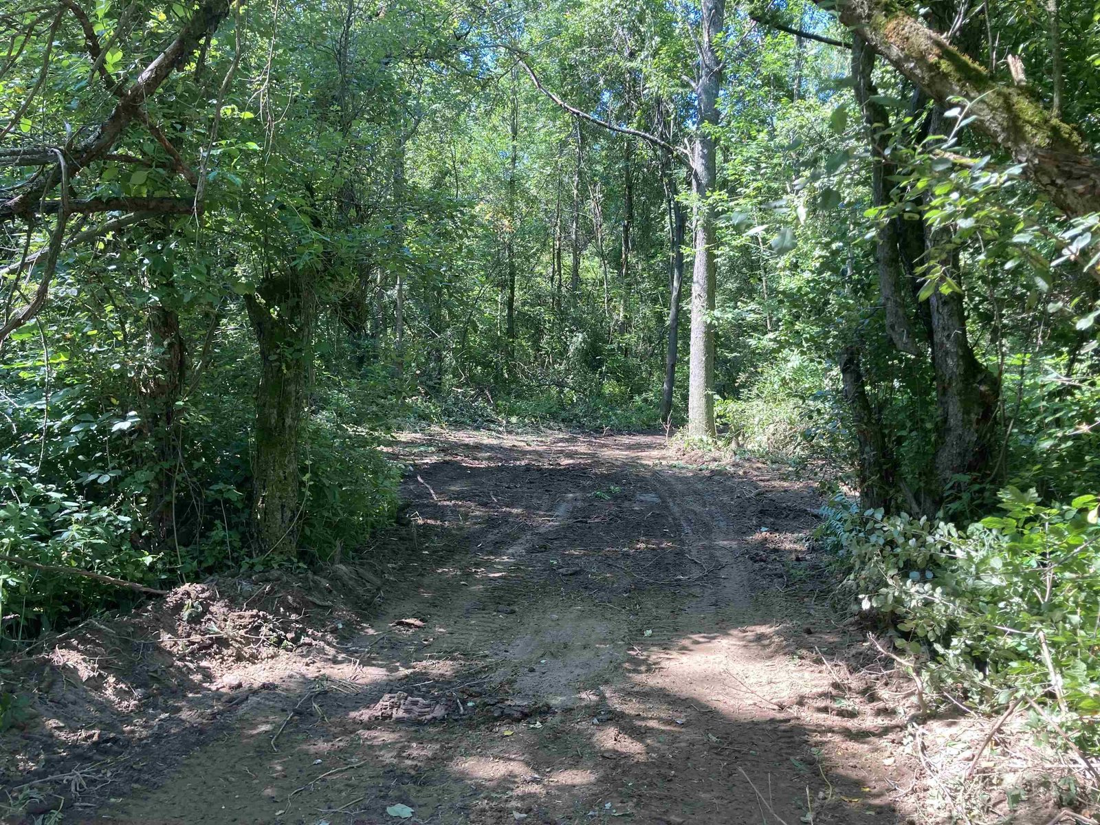65 Next to Zweeres Road