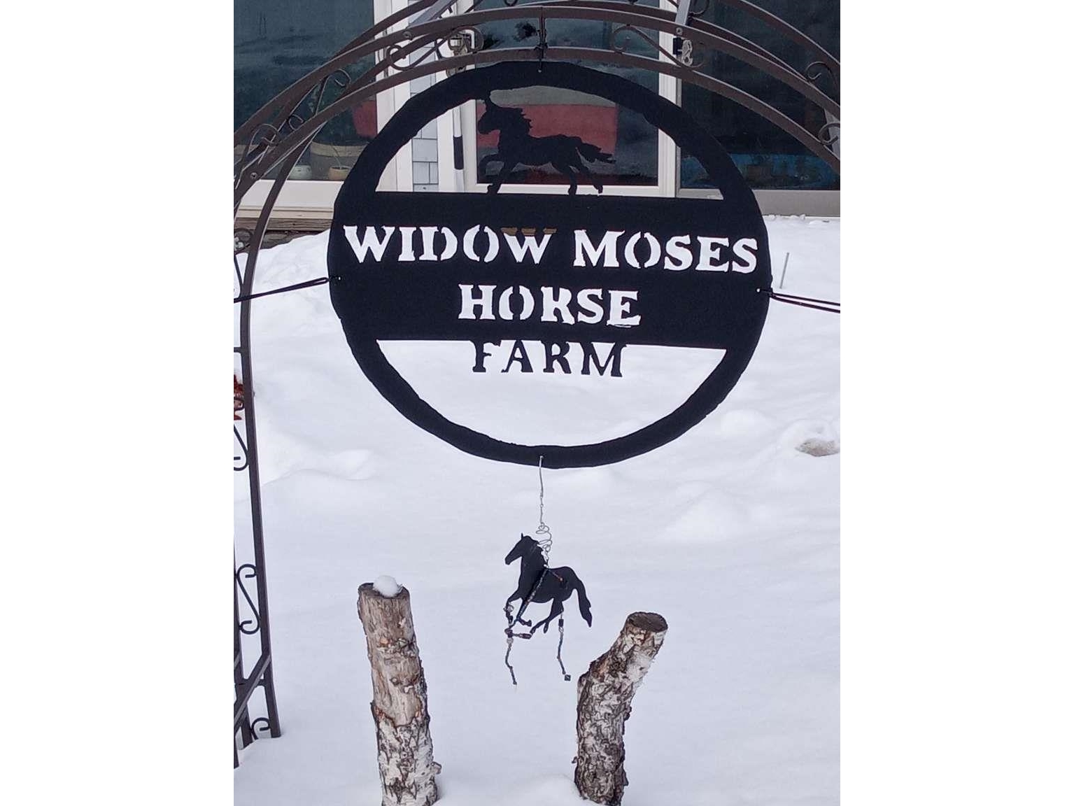 65 Widow Moses Road
