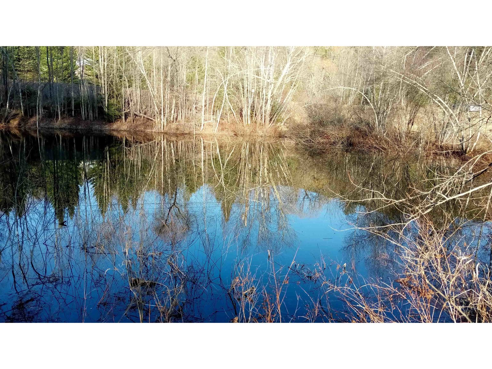 early April pond