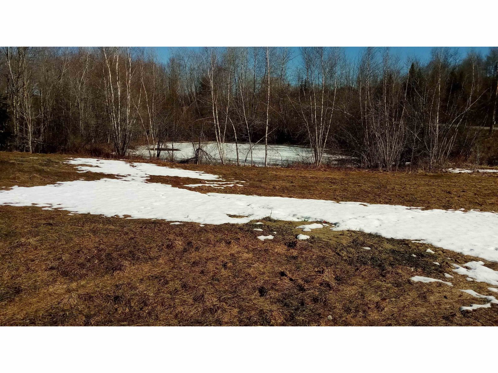 from field towards the pond