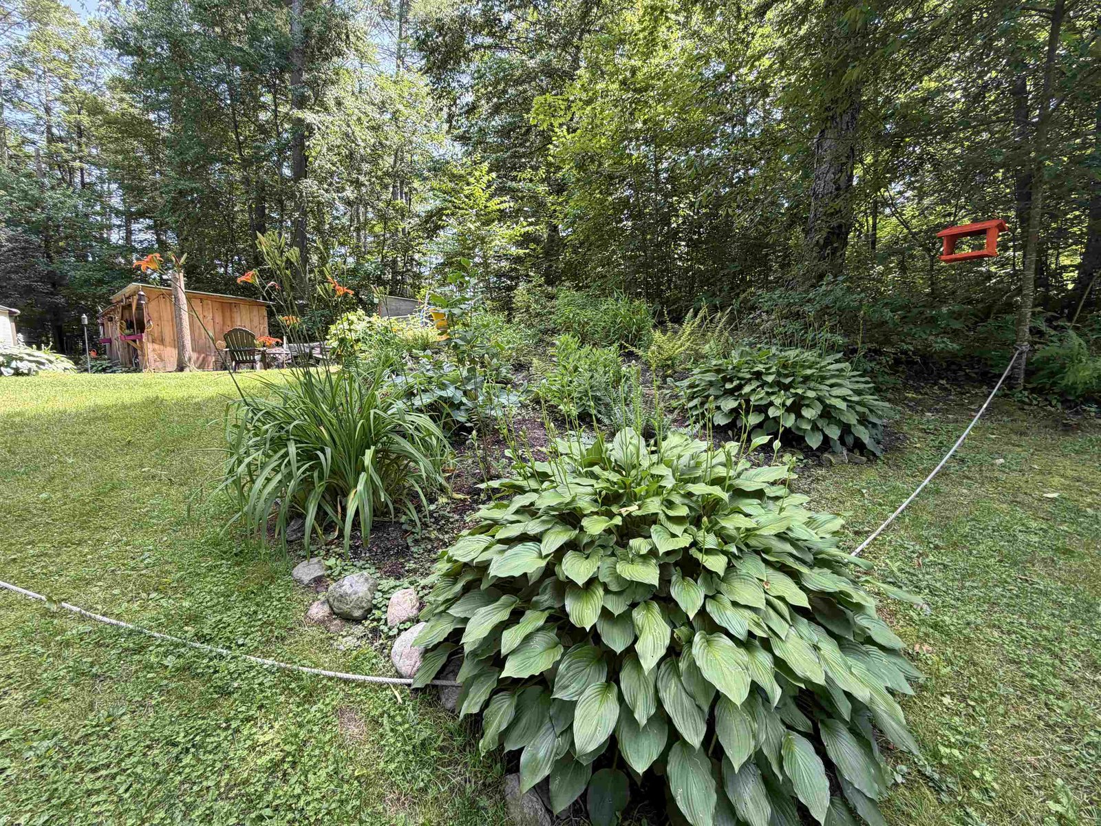 66 Murphy Drive