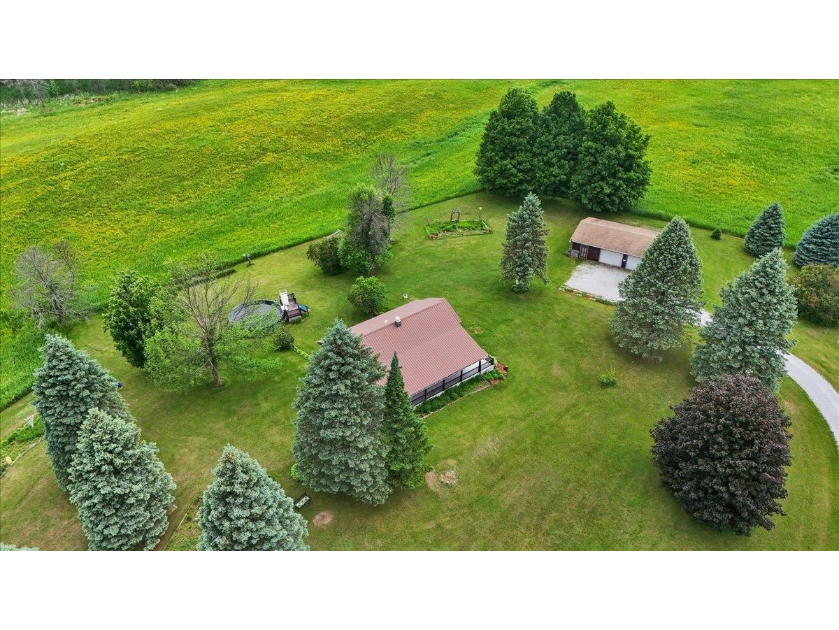 Mature Trees