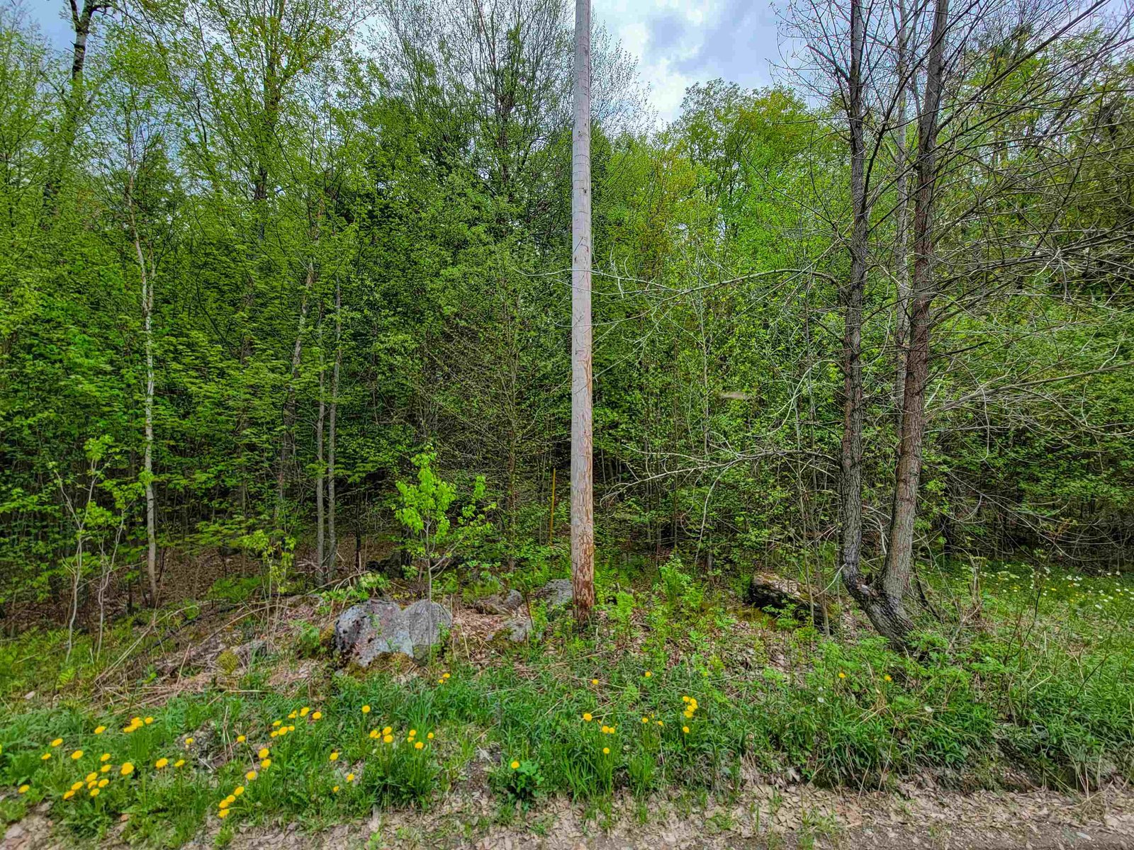 660 Brookview Lane