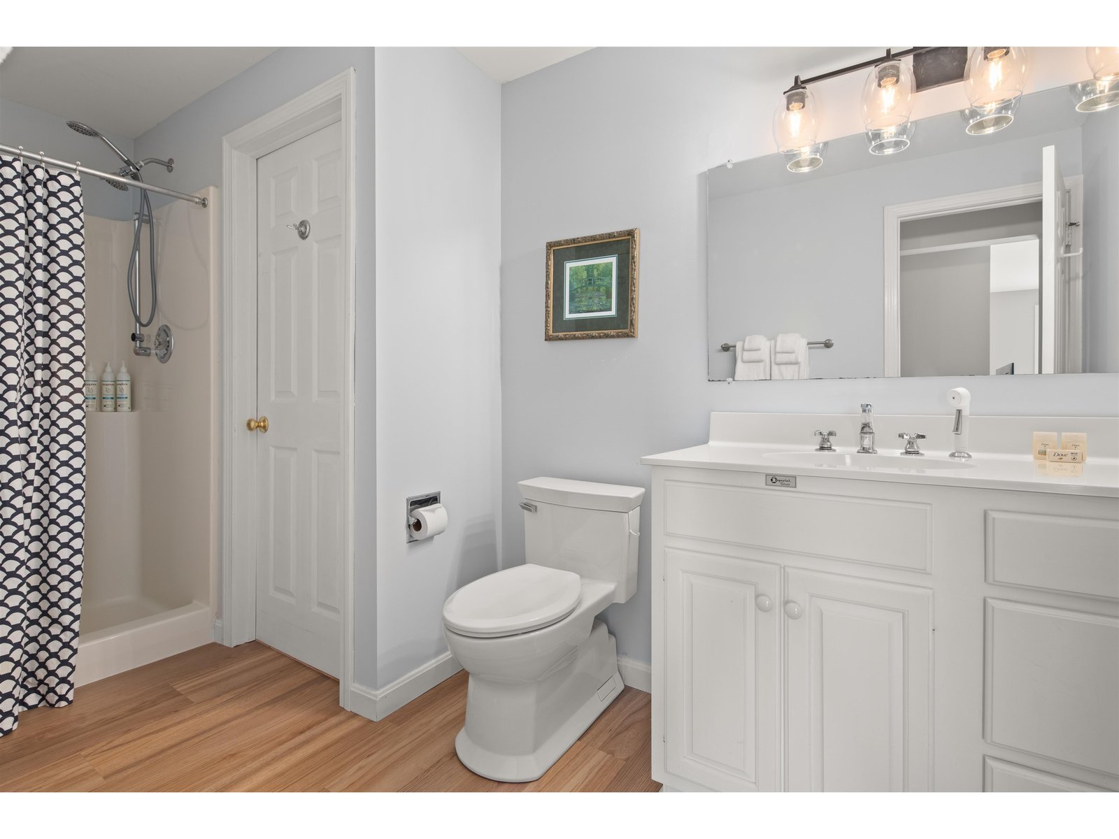 Lower level bathroom