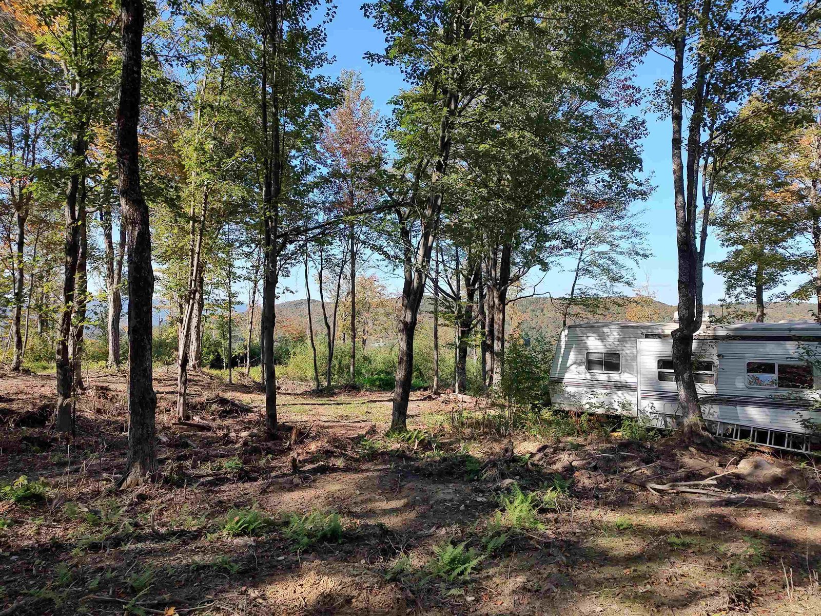 662 Belcher Road